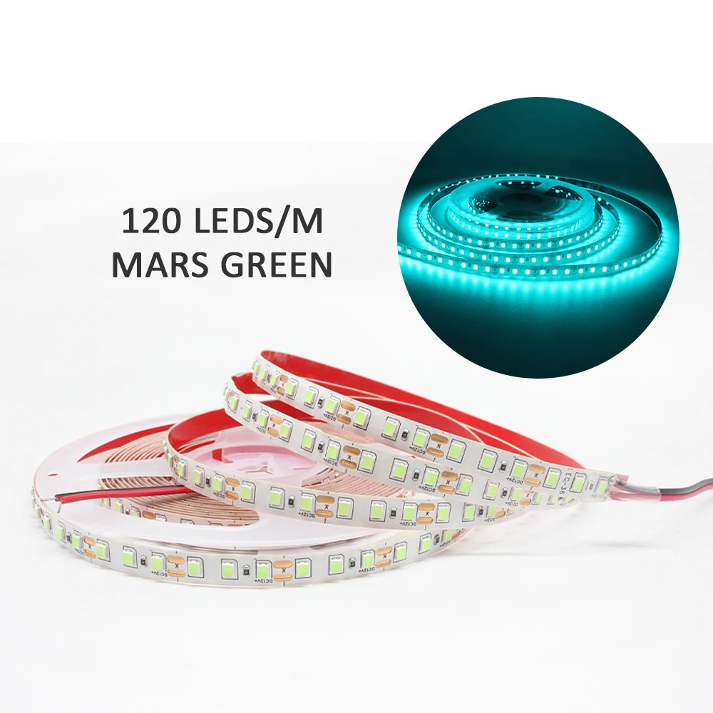 Tira LED 12V SMD 2835 - Luz Cálida para Decorar