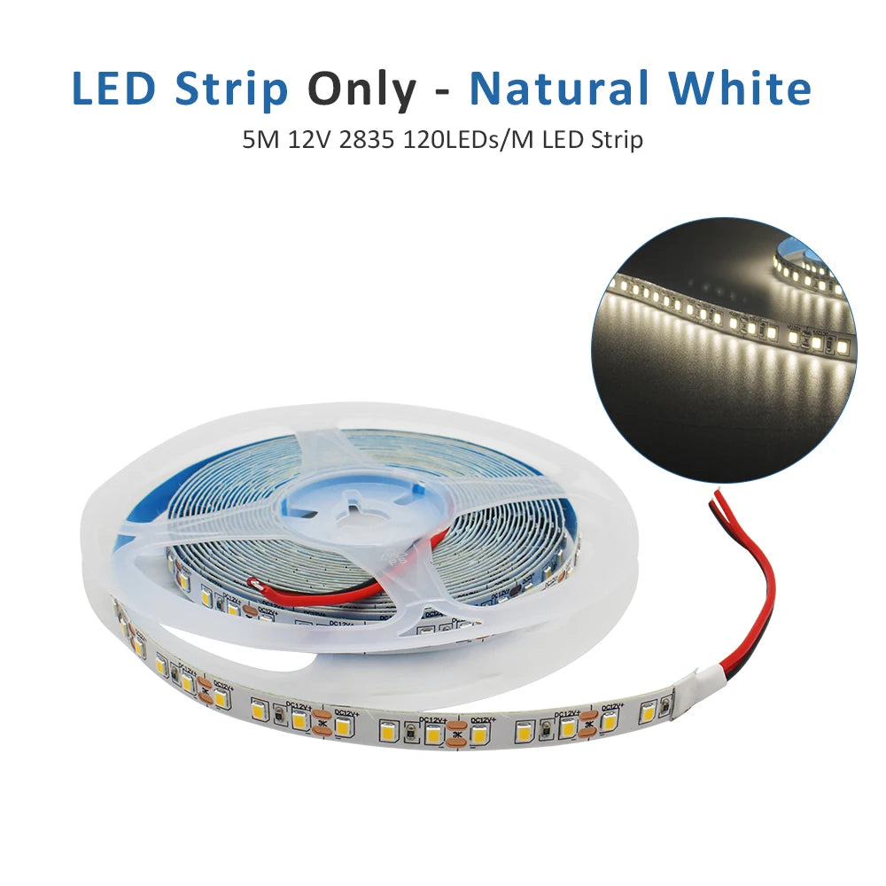 🔥 ILUMINACIÓN PROFESIONAL PARA TU HOGAR 🔥
Tira LED 12V SMD2835 - 120/240 LEDs x Metro para Techo, Cocina y Muebles